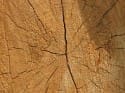 legno