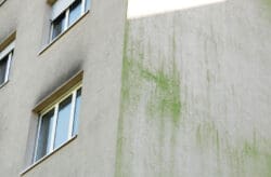Cappotto: il problema delle facciate che diventano verdi