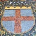 padova gemellata con friburgo padova gemellata con friburgo