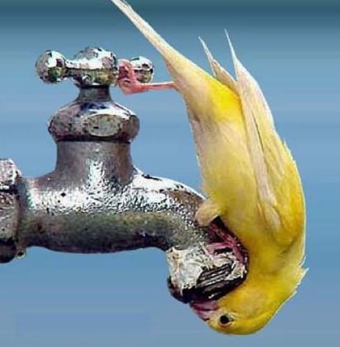 acqua calda sanitaria & solare termico - La VMC ci fornisce l' aria da respirare, ma l' acqua da bere? 1