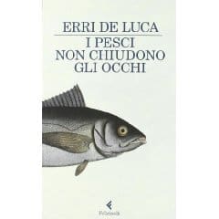 i-pesci-non-chiudono-gli-occhi