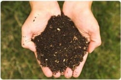 Compost