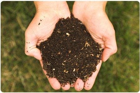 Link amici - Compost 1