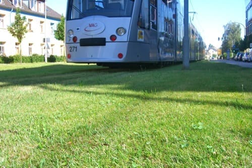 freiburg-verde