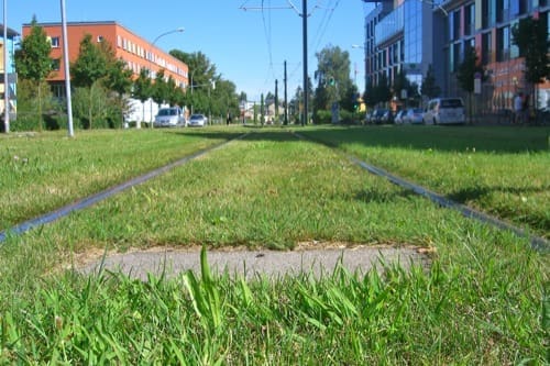freiburg-verde