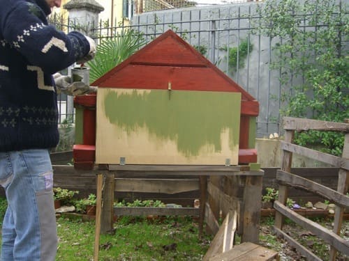 casa passiva per galline progetto