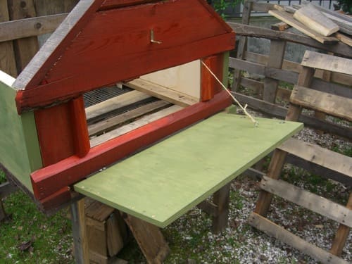 casa passiva per galline progetto