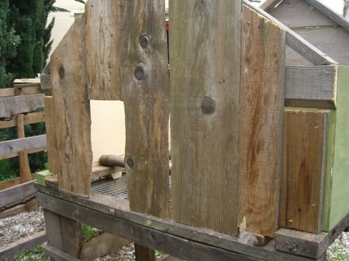 casa passiva per galline progetto