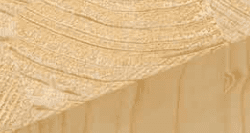 Colle sane in legno sano
