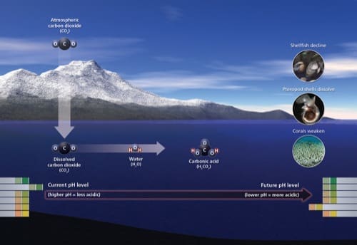 il clima - Cause ed effetti della CO2 spiegati in modo semplice anche da Luca Mercalli 1 il clima - Cause ed effetti della CO2 spiegati in modo semplice anche da Luca Mercalli 1