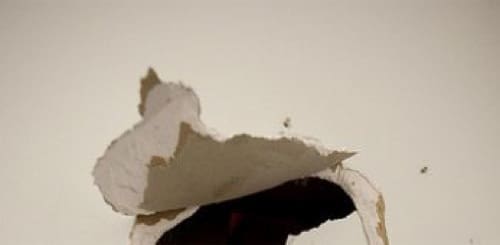 cartongesso