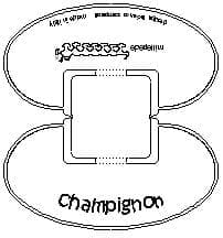 - Millepede, oggetti 2005 17 champignon design bettina strigl-01