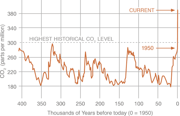 andamento livello di CO2