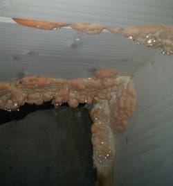 Tetto coibentato non ventilato in legno con guaina ardesiata