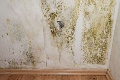 casa-materiali-salubri-01