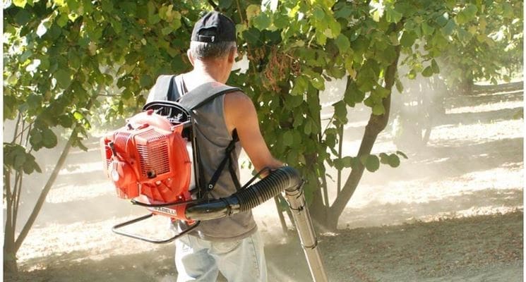 cattive abitudini fuori casa - Stop all'uso dei soffiatori d'aria 10 stop-uso-soffiatori-aria-pm-polveri 20