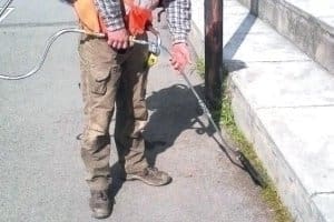 cattive abitudini fuori casa - Diserbanti sui bordi stradali e a filo marciapiede 2 cattive abitudini fuori casa - Diserbanti sui bordi stradali e a filo marciapiede 2
