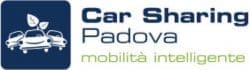auto elettrica - nel dubbio tra ibrido e elettrico mi faccio una car sharing 5 auto elettrica - nel dubbio tra ibrido e elettrico mi faccio una car sharing 5