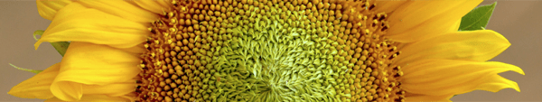 materiali salubri in edilizia - materiali bioecologici per ristrutturare o costruire più naturale 10