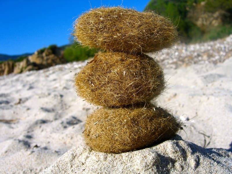 isolamento contro il caldo - L'isolamento in granito diventa casa per vacanze in Corsica 136 isolamento contro il caldo - L'isolamento in granito diventa casa per vacanze in Corsica 134