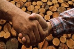 Il contenuto energetico del legno che bruciamo nella stufa