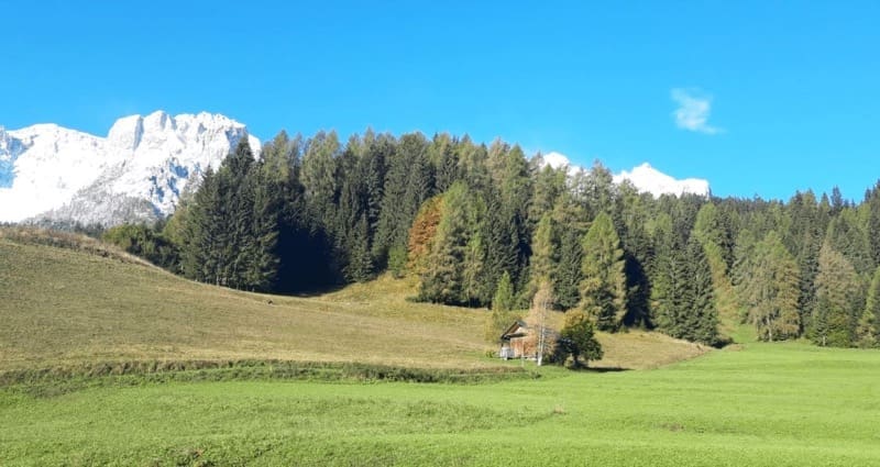 riscaldamento a legna - Legna o pellet, energia grigia ed emissioni di CO2 1