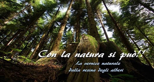 isolamento tetto in legno - Tetto in legno, il migliore trattamento ma costoso 6