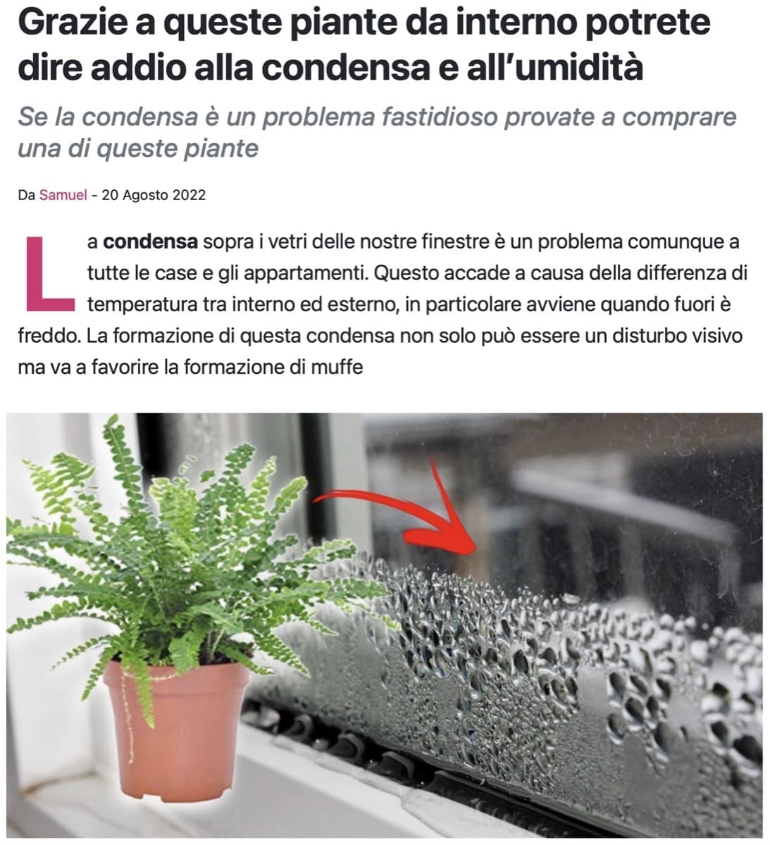 VMC nozioni - Contro la muffa, piante da interno e VMC 1 VMC nozioni - Contro la muffa, piante da interno e VMC 1