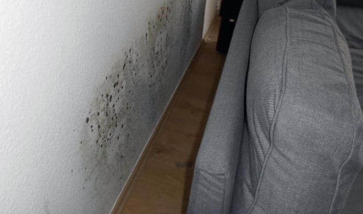 isolamento interno - Muffa dietro l' armadio spiegata bene 10