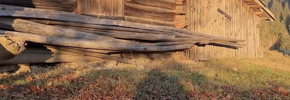 isolamento interno - Materiali isolanti naturali, loro non avevano freddo... 3