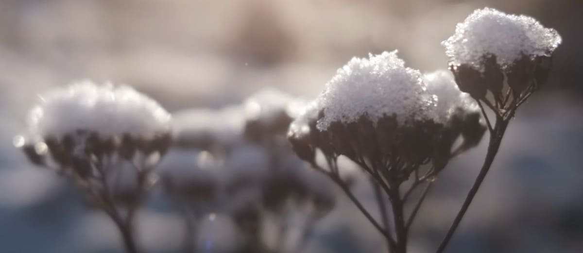 riscaldamento tips - Impostare la caldaia per temperature esterne bassissime 2