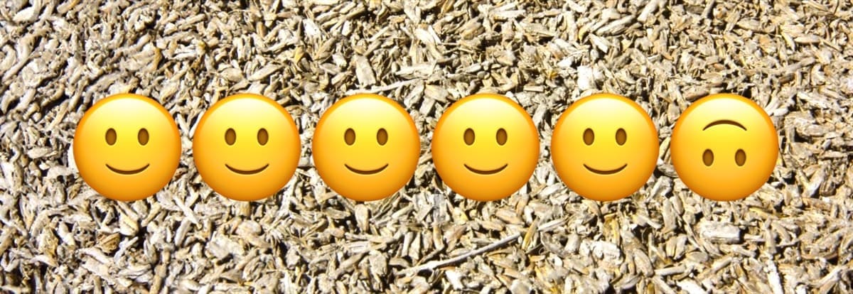 nozioni isolamento parete - Blocco in lolla di riso contro Ytong, laterizio e calcecanapa 1 nozioni isolamento parete - Blocco in lolla di riso contro Ytong, laterizio e calcecanapa 1