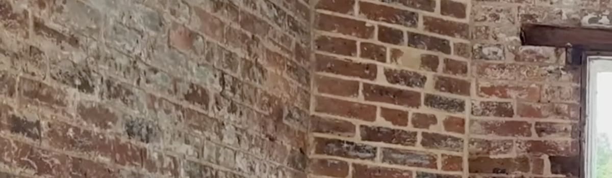 isolamento interno - Acqua pulita e calce idrata, la mano antica che prepara il muro 3