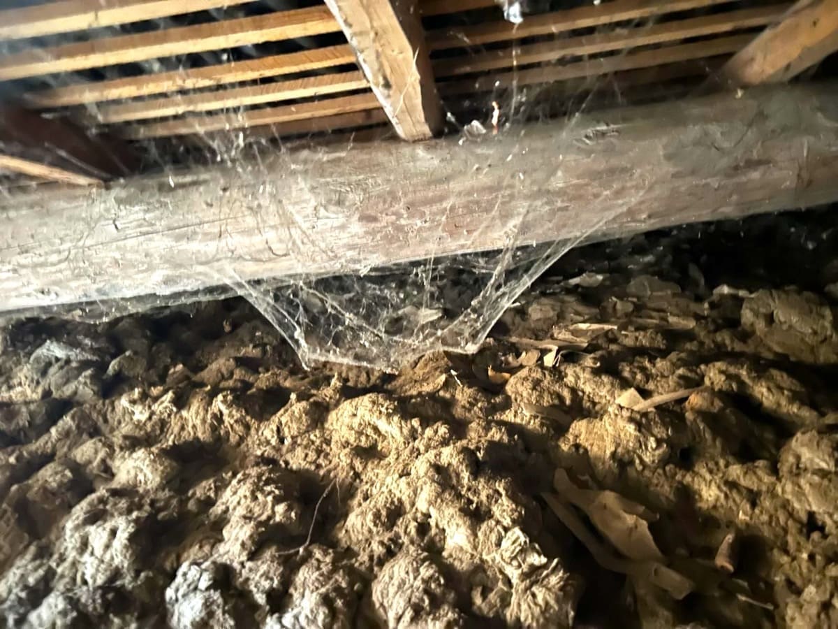 isolamento sottotetto - Il sottotetto non mente: cosa succede ad alcuni isolanti quando invecchiano 2 isolamento sottotetto - Il sottotetto non mente: cosa succede ad alcuni isolanti quando invecchiano 2