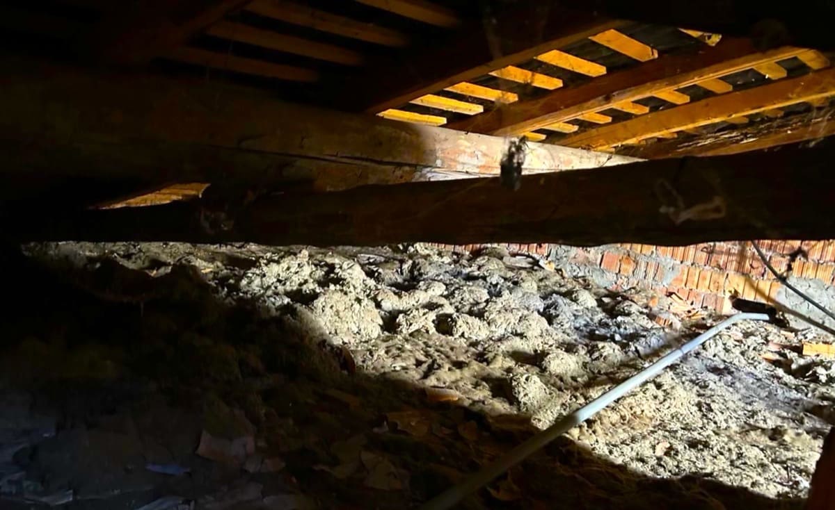 isolamento sottotetto - Il sottotetto non mente: cosa succede ad alcuni isolanti quando invecchiano 4 isolamento sottotetto - Il sottotetto non mente: cosa succede ad alcuni isolanti quando invecchiano 4