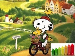 Certificatori non iscritti agli Ordini