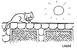 tetto-capitolato tetto capitolato