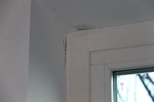 serramento-condensa-a-soffitto