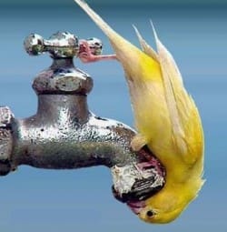 La VMC ci fornisce l’ aria da respirare, ma l’ acqua da bere?
