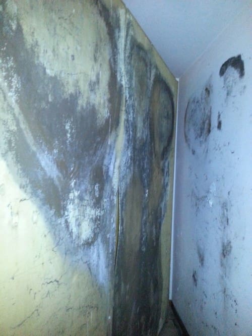 cause della muffa - La condensazione superficiale, la muffa e il fattore di temperatura 4 muffa dietro l'armadio
