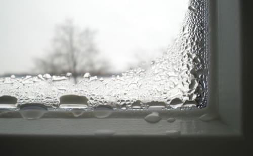 cause della muffa - Muffa, attenzione alla Temperatura superficiale interna 2 Capire la muffa
