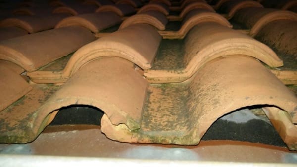 tenuta all' aria tetto - Il tetto senza tenuta all'aria di Francesco 4 tetto-senza-tenuta-aria-francesco-03