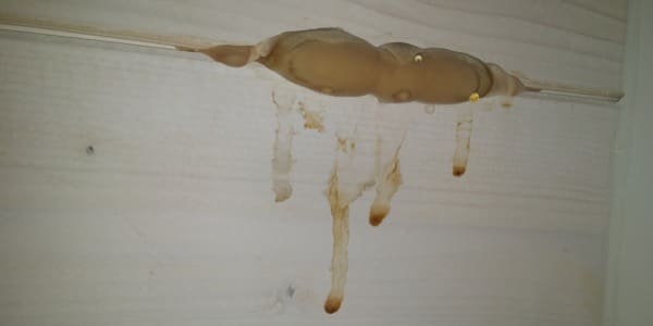 isolamento sottotetto - Tetto coibentato non ventilato in legno con guaina ardesiata 3 tetto-coibentato-non-ventilato-legno-guaina-ardesiata-vapore-infiltrazioni-05