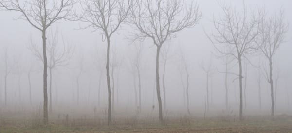 cause della muffa - Entra troppa umidità in casa, l'estate è finita 5 casa-isolamento-termico-clima-umido-nebbioso-tipico-pianura-padana-02