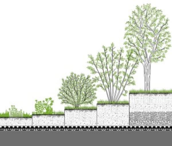 isolamento tetto in latero cemento - Tetto verde o tetto in laterizio? 6 tetto-verde-tetto-laterizio-04