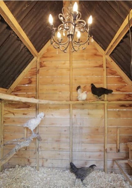 materiali salubri in edilizia - Uova bio nella tua casa bio 6