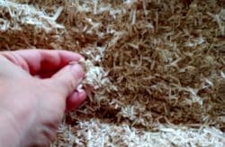 Isolamento interno salubre? canapa e calce