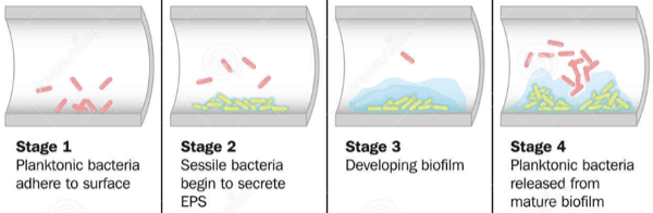 acqua calda sanitaria & solare termico - Linee di distribuzione e qualità dell'acqua sanitaria 4 acqua calda sanitaria & solare termico - Linee di distribuzione e qualità dell'acqua sanitaria 4