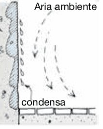 cause della muffa - Umidità in casa, una soluzione alla condensa di primavera o estiva 6 cause della muffa - Umidità in casa, una soluzione alla condensa di primavera o estiva 6