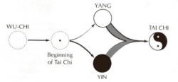 Dallo YIN e lo YANG alla teoria dei Cinque Elementi